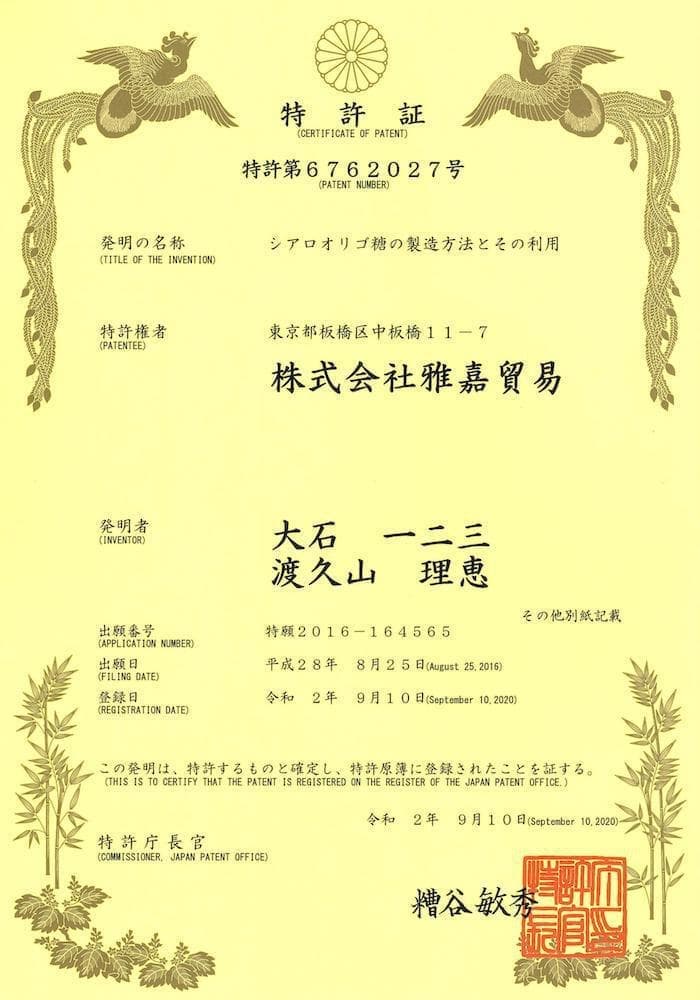 Patent No. 6762027